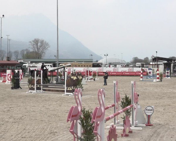 Reitturnier Giubiasco 2024