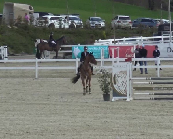 Reitturnier St. Margarethen 2024