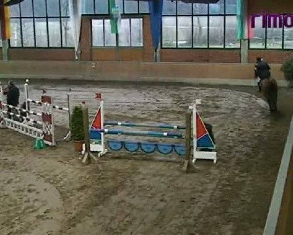 Heiden 2011