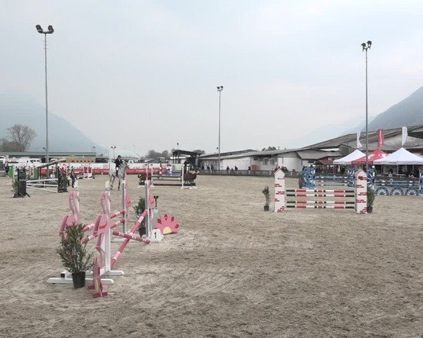 Reitturnier Giubiasco 2024