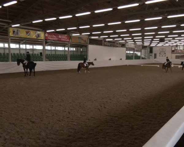Reitturnier Zweibrücken-Landgestüt / Halle 2024