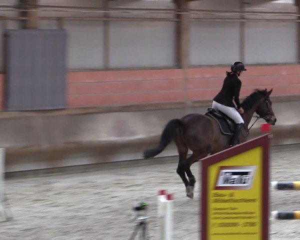 Reitturnier Tremsdorf, Eichenhof 2024