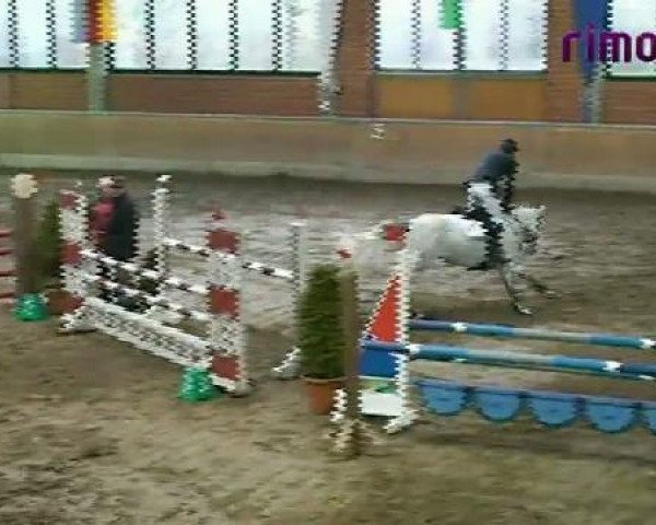Heiden 2011