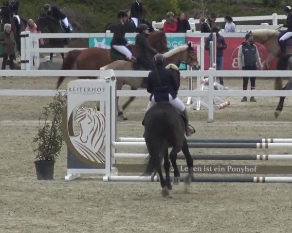 Reitturnier St. Margarethen 2024