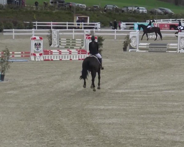 Reitturnier St. Margarethen 2024