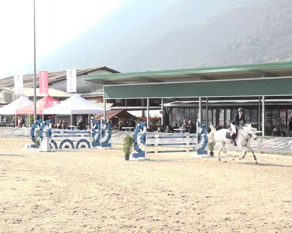 Reitturnier Giubiasco 2024