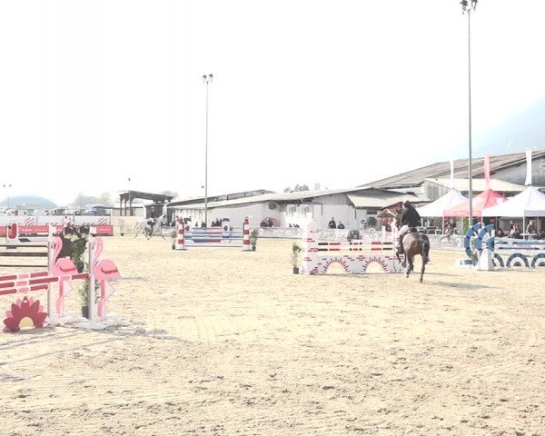Reitturnier Giubiasco 2024