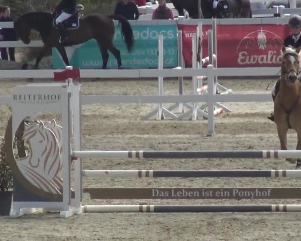 Reitturnier St. Margarethen 2024