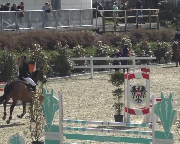 Reitturnier St. Margarethen 2024