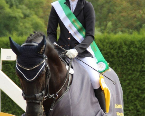 jumper U And Me van Overis (Zangersheide riding horse, 2013, from Udarco van Overis)
