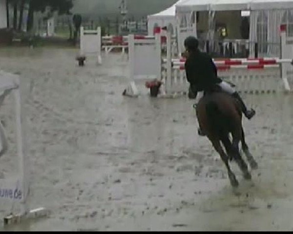 Waltrop 2011