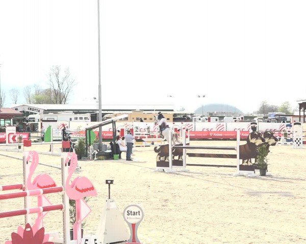 Reitturnier Giubiasco 2024
