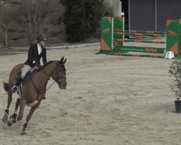 Reitturnier St. Margarethen 2024