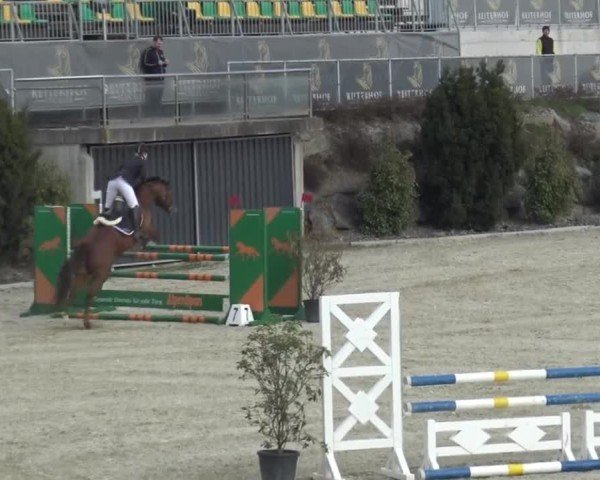 Reitturnier St. Margarethen 2024