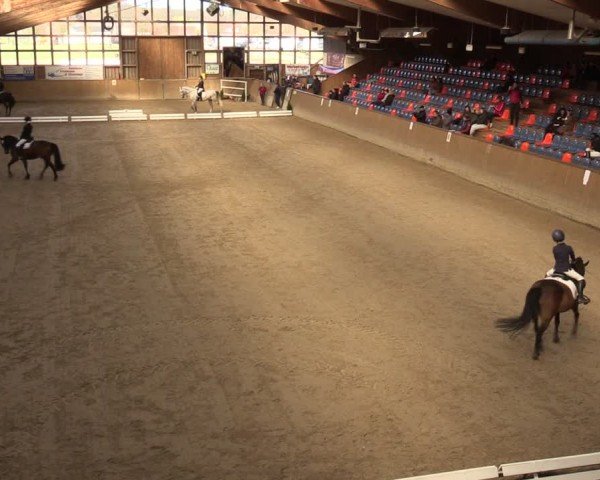 Reitturnier Krumke 2024