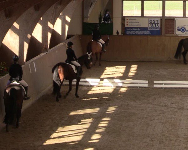 Reitturnier Krumke 2024