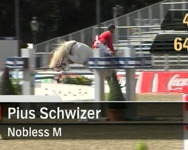 Reitturnier Münster-Schlossplatz 2011