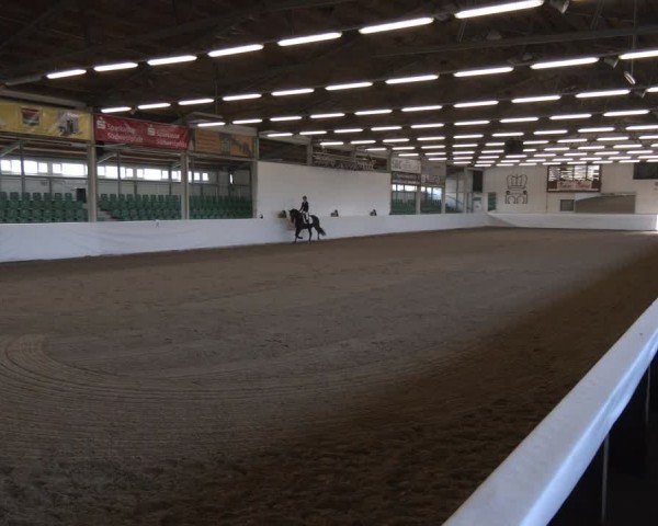 Reitturnier Zweibrücken-Landgestüt / Halle 2024