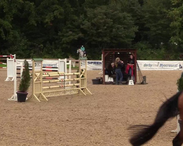 Reitturnier Albersdorf Dithmarsenpark 2021