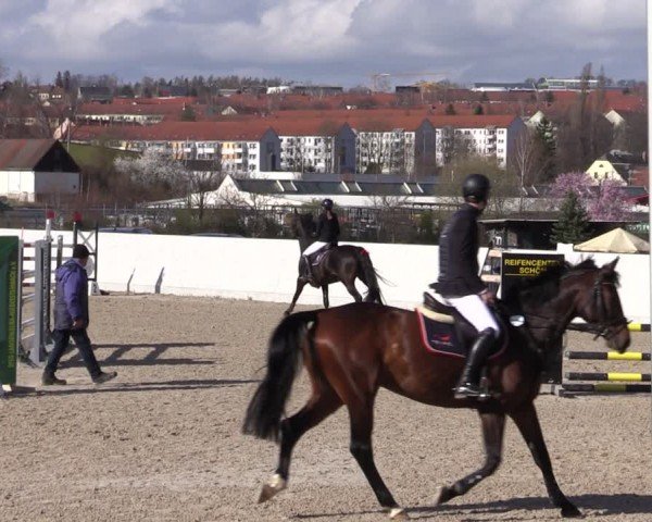 Reitturnier Zwickau 2024