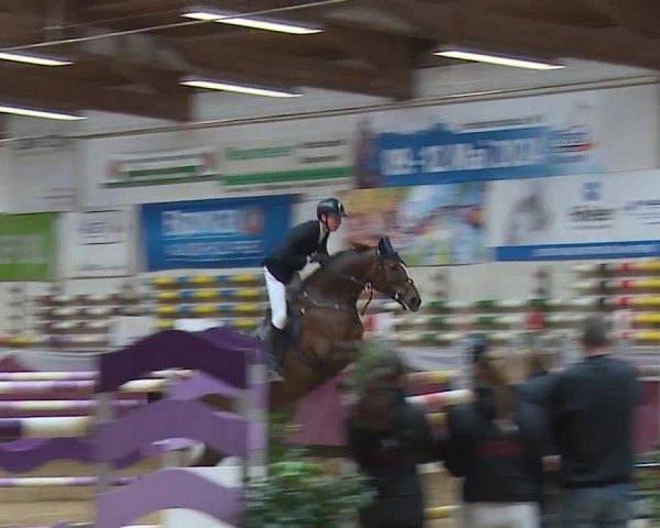 Reitturnier Eicherloh RH Laurent/Obb. 2024