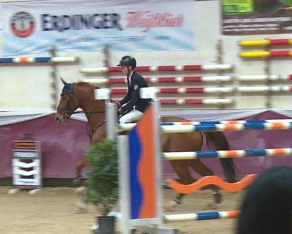 Reitturnier Eicherloh RH Laurent/Obb. 2024