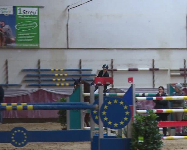 Reitturnier Eicherloh RH Laurent/Obb. 2024
