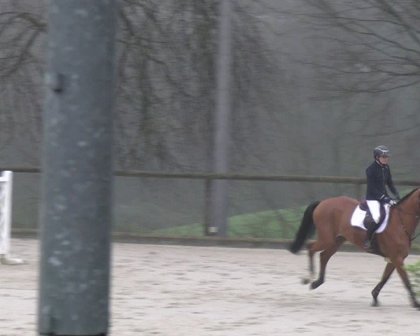 Reitturnier Erkrath - Uhlenhof 2024
