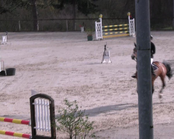 Reitturnier Erkrath - Uhlenhof 2024