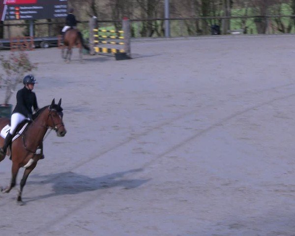Reitturnier Erkrath - Uhlenhof 2024