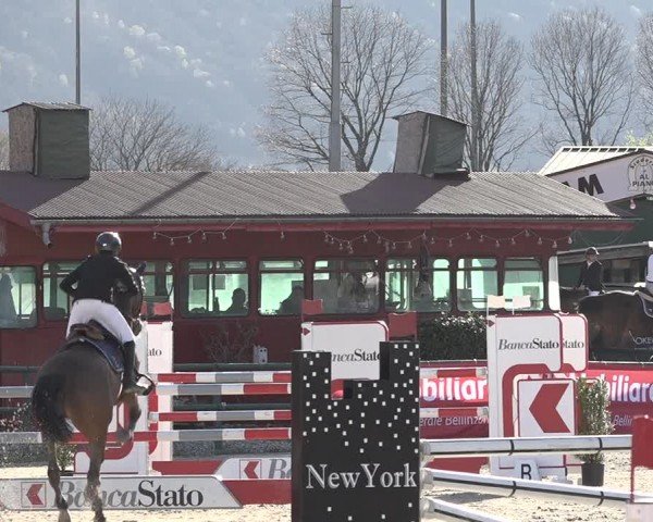 Reitturnier Giubiasco 2024