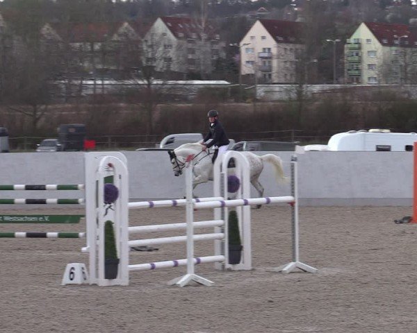 Reitturnier Zwickau 2024