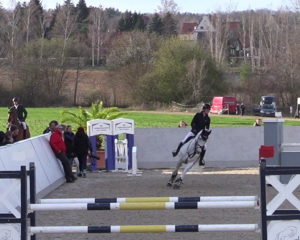 Reitturnier Zwickau 2024