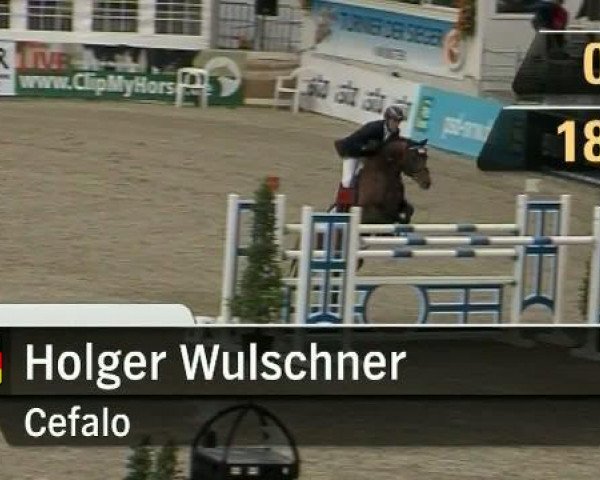 Turnier der Sieger, Münster 2011