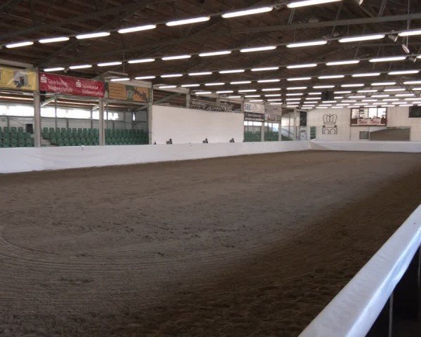 Reitturnier Zweibrücken-Landgestüt / Halle 2024