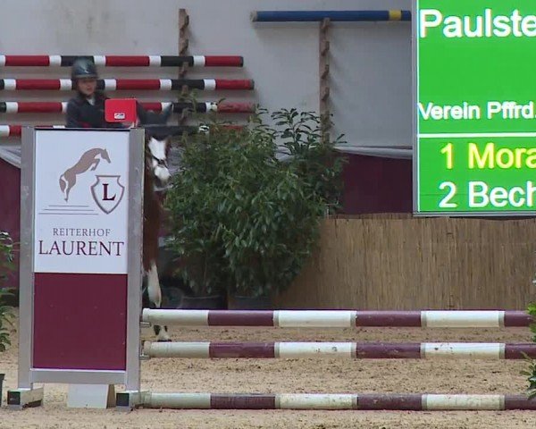 Reitturnier Eicherloh RH Laurent/Obb. 2024