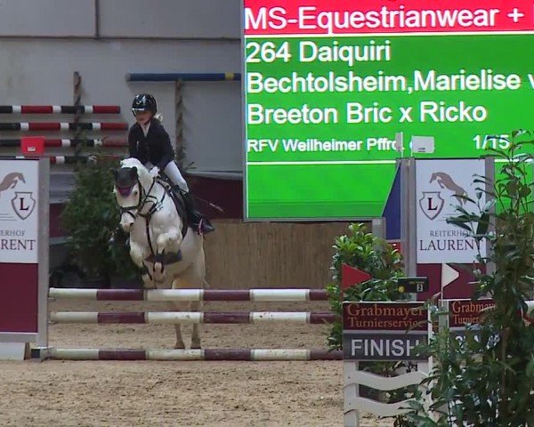 Reitturnier Eicherloh RH Laurent/Obb. 2024