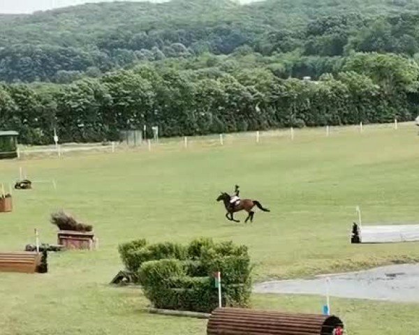 Video of Le Fou Petit Gorretty