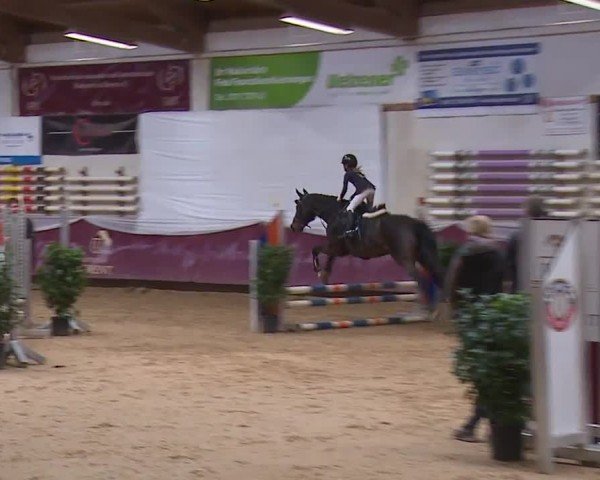 Reitturnier Eicherloh RH Laurent/Obb. 2024