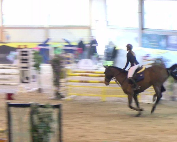 Reitturnier Sauldorf-Boll 2024