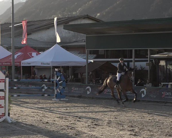 Reitturnier Giubiasco 2024