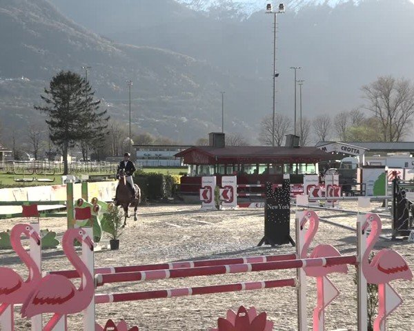 Reitturnier Giubiasco 2024