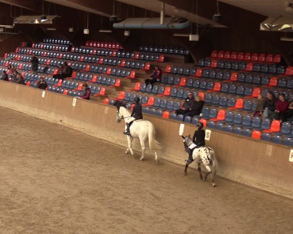 Reitturnier Krumke 2024