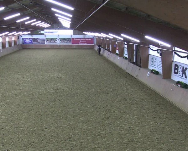 Reitturnier Bad Salzuflen 2024