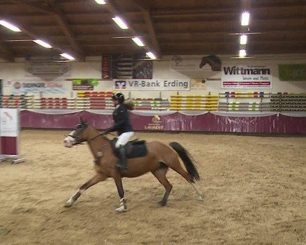 Reitturnier Eicherloh RH Laurent/Obb. 2024