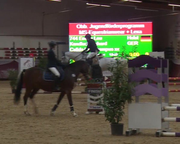 Reitturnier Eicherloh RH Laurent/Obb. 2024