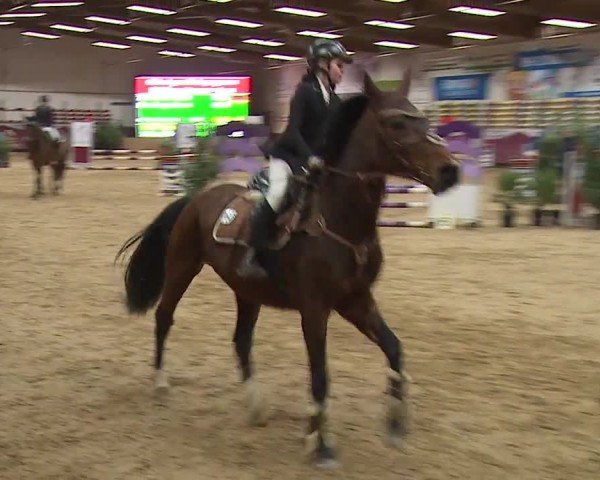 Reitturnier Eicherloh RH Laurent/Obb. 2024