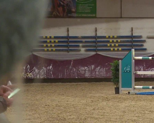 Reitturnier Eicherloh RH Laurent/Obb. 2024