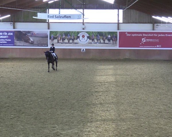 Reitturnier Bad Salzuflen 2024