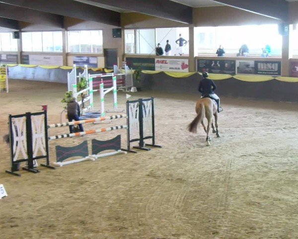 Reitturnier Sauldorf-Boll 2024